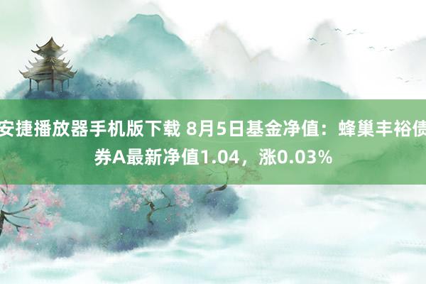 安捷播放器手机版下载 8月5日基金净值：蜂巢丰裕债券A最新净值1.04，涨0.03%