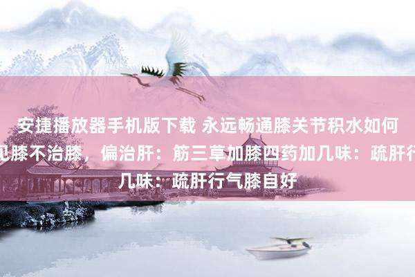 安捷播放器手机版下载 永远畅通膝关节积水如何治?中医见膝不治膝,偏治肝:筋三草加膝四药加几味:疏肝行气膝自好