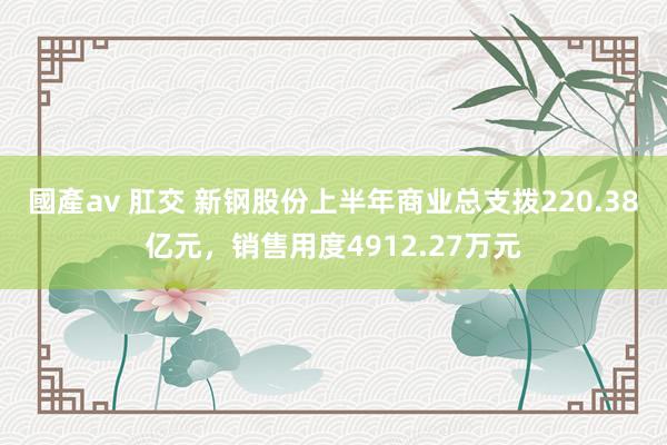 國產av 肛交 新钢股份上半年商业总支拨220.38亿元，销售用度4912.27万元