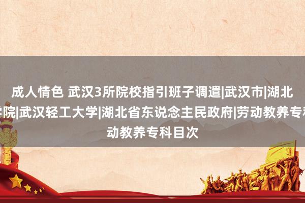 成人情色 武汉3所院校指引班子调遣|武汉市|湖北警官学院|武汉轻工大学|湖北省东说念主民政府|劳动教养专科目次