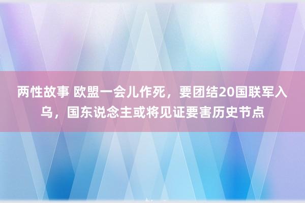 两性故事 欧盟一会儿作死，要团结20国联军入乌，国东说念主或将见证要害历史节点