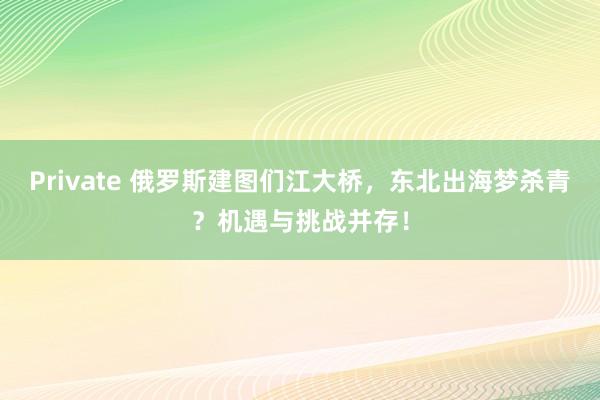 Private 俄罗斯建图们江大桥，东北出海梦杀青？机遇与挑战并存！