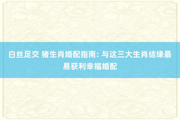 白丝足交 猪生肖婚配指南: 与这三大生肖结缘最易获利幸福婚配
