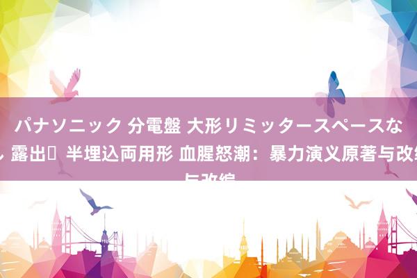 パナソニック 分電盤 大形リミッタースペースなし 露出・半埋込両用形 血腥怒潮：暴力演义原著与改编