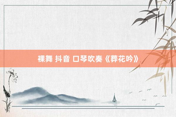 裸舞 抖音 口琴吹奏《葬花吟》