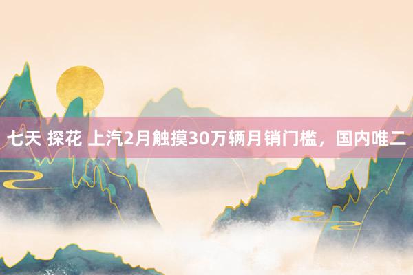 七天 探花 上汽2月触摸30万辆月销门槛，国内唯二