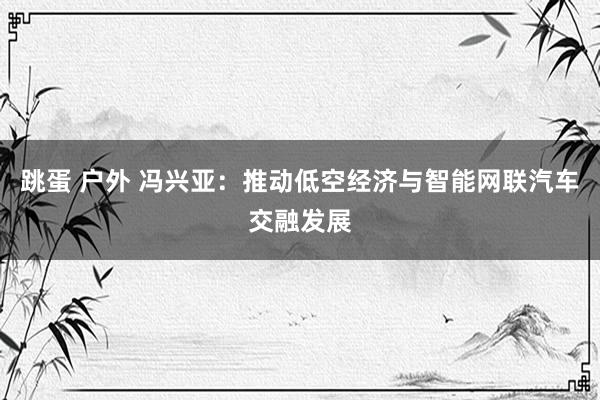跳蛋 户外 冯兴亚：推动低空经济与智能网联汽车交融发展