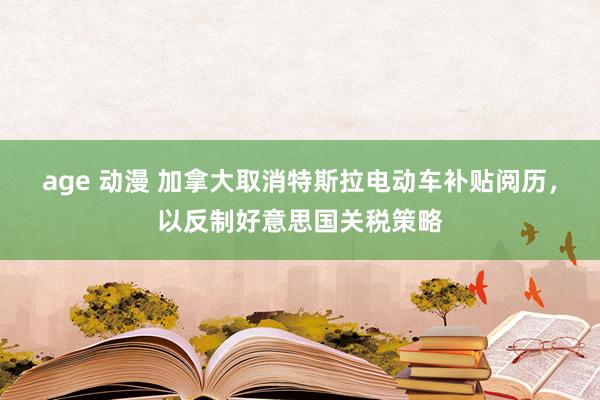 age 动漫 加拿大取消特斯拉电动车补贴阅历，以反制好意思国关税策略