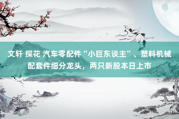 文轩 探花 汽车零配件“小巨东谈主”、塑料机械配套件细分龙头，两只新股本日上市